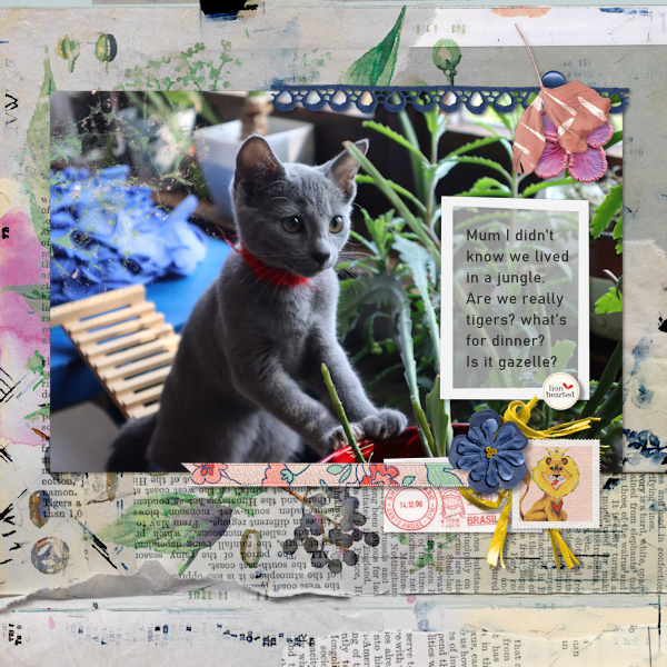 200911_cat Jungle