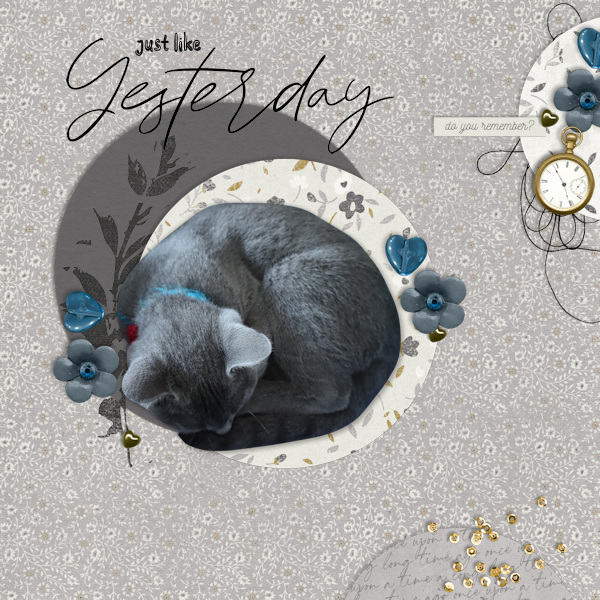 200915_cat Nap