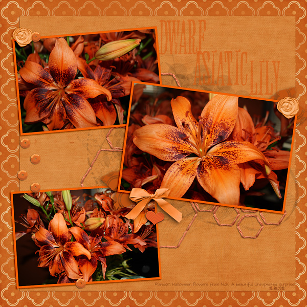2010-Flowers-Monochrome-Orange