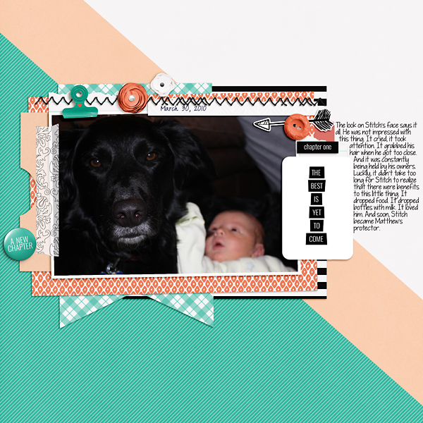2010-March-Matthew-Stitch-copy