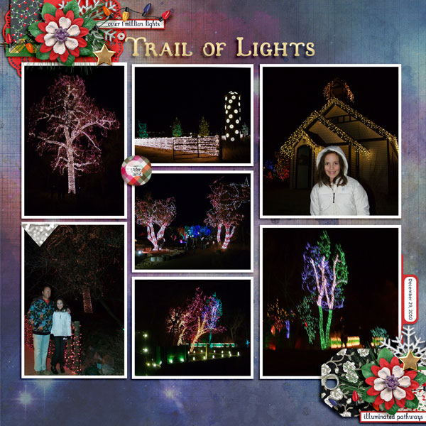 2010 Trail of Lights