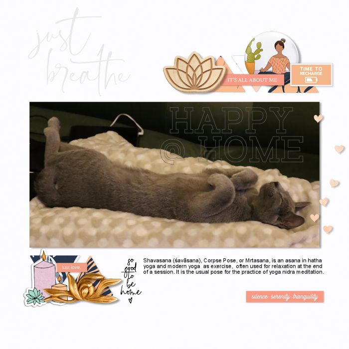 201001_F Shavasana