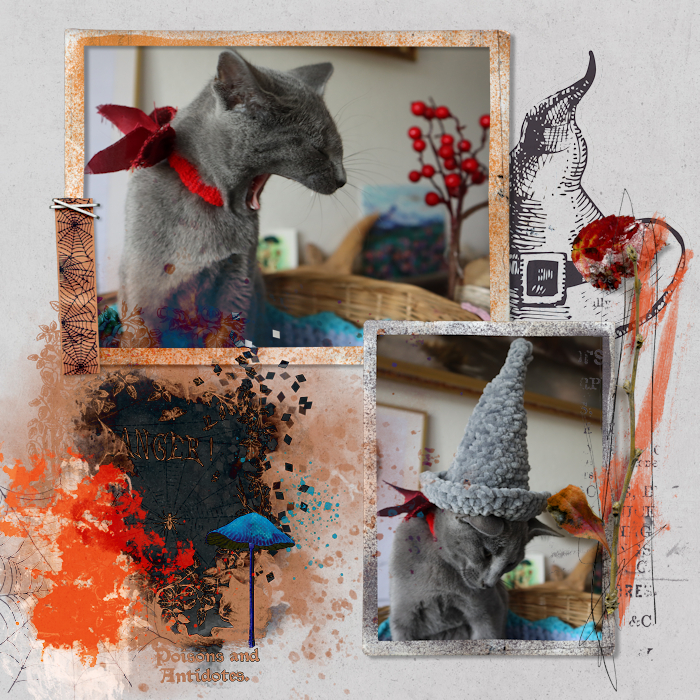 201005_Fav Witch
