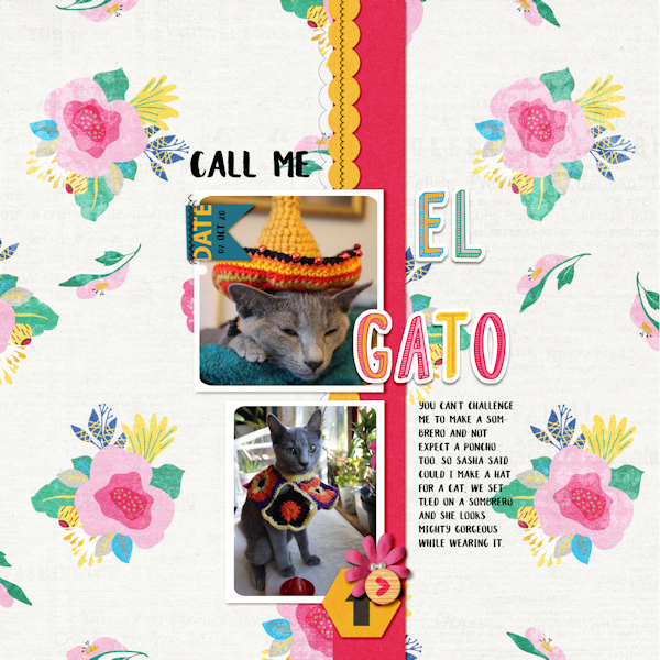201007_gato
