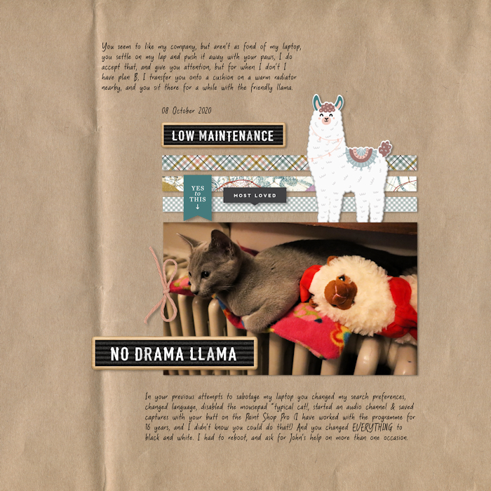 201008_Fav Llama