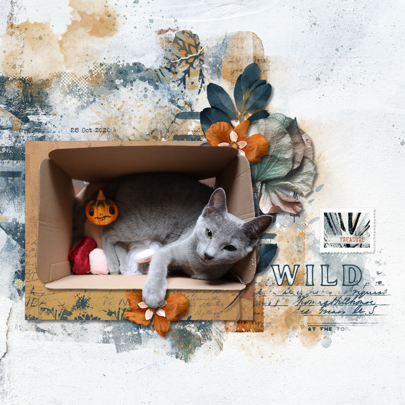 201028_Waff Box