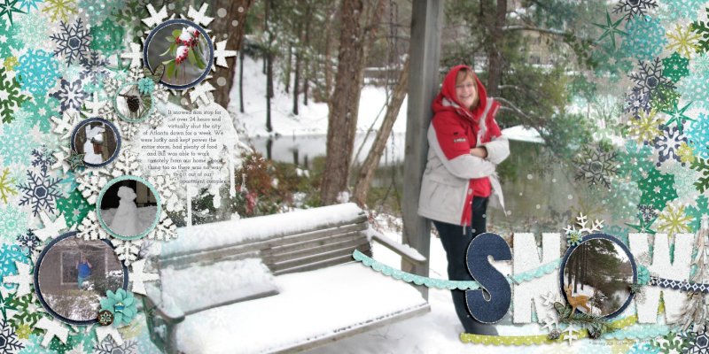 2011 01 09 Snow