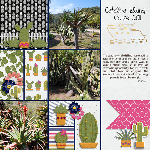 2011 Cactus Catalina Island