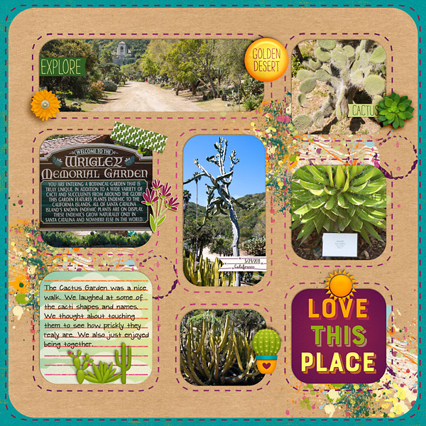 2011 Cactus Garden