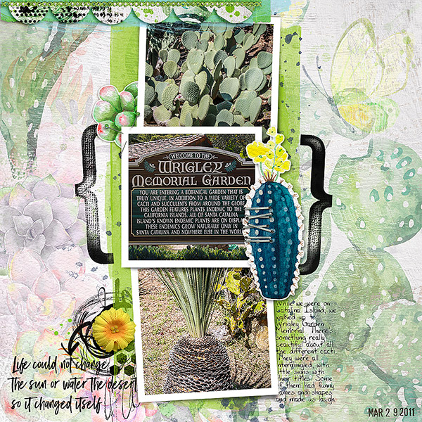 2011-Catalina-Cactus