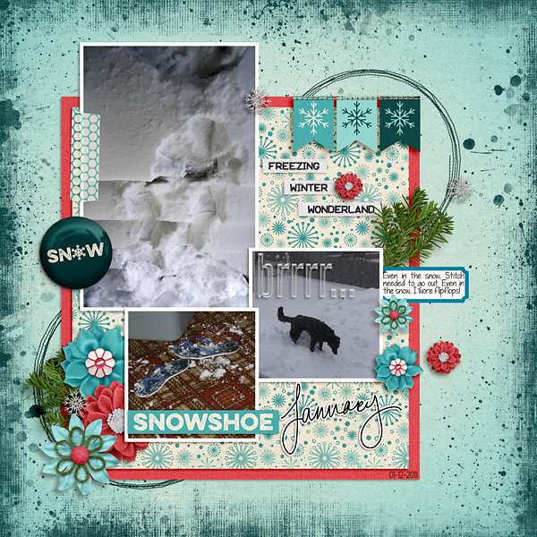 2011-Flipflops-in-the-Snow-copy