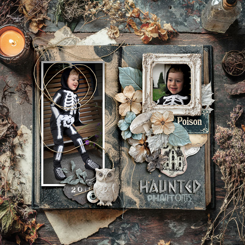 2011-Haunted-Adventure