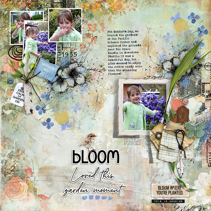 2011-Mother's-Day-Flowers-and-Cotton-Candy