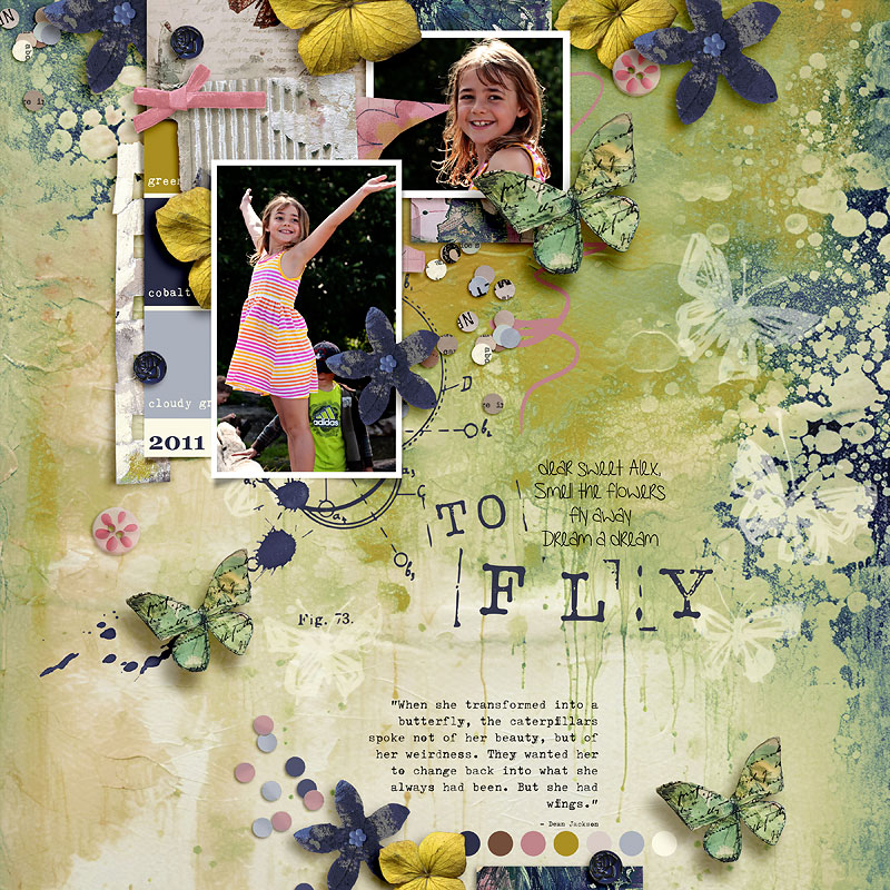 2011-To-Fly