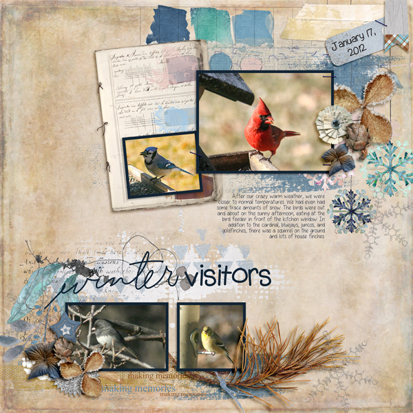 2012-01-17-fdd_RealLife_DU_tp2