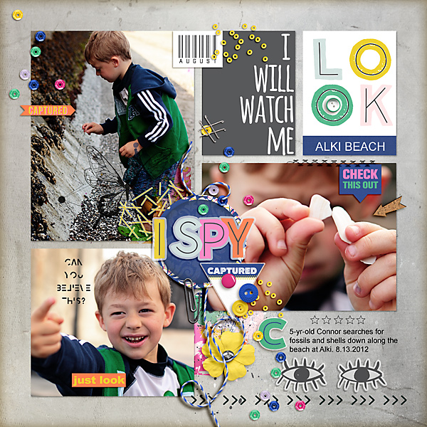 2012 I Spy Alki Beach