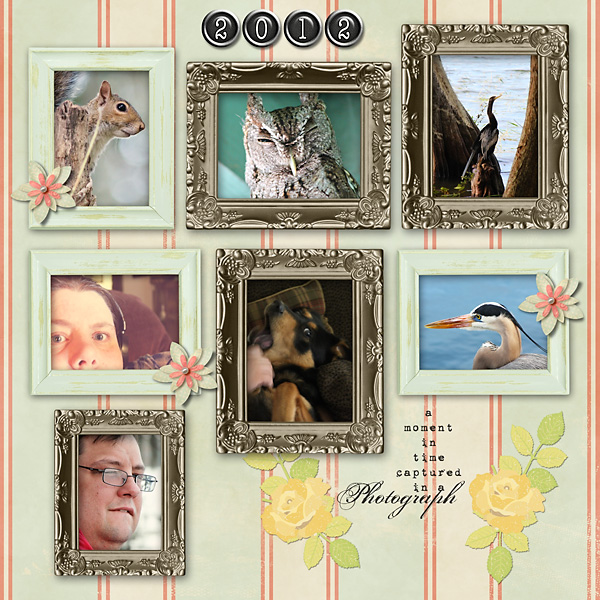 2012 in Review