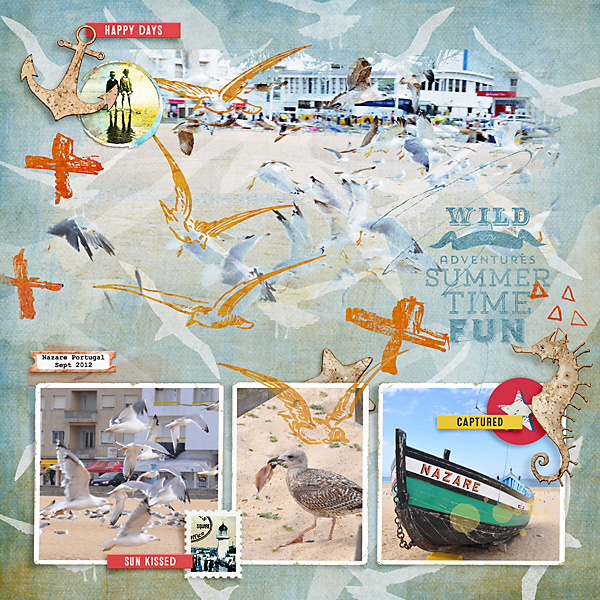 2012 Nazare-Birds On The Beach
