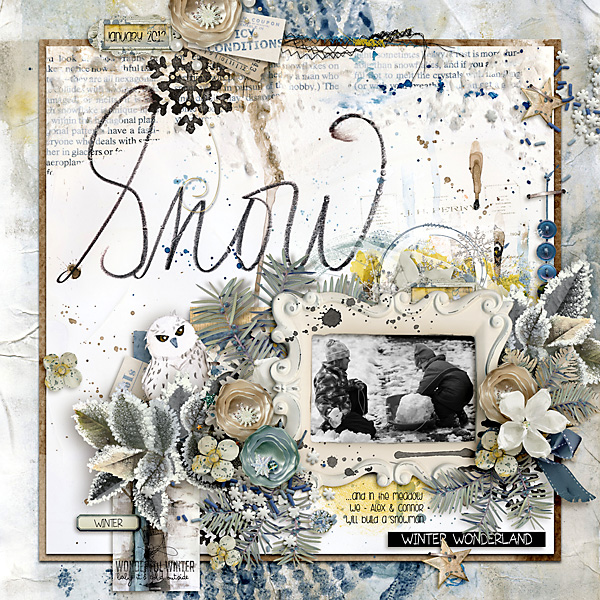 2012 Snow In The Meadow...