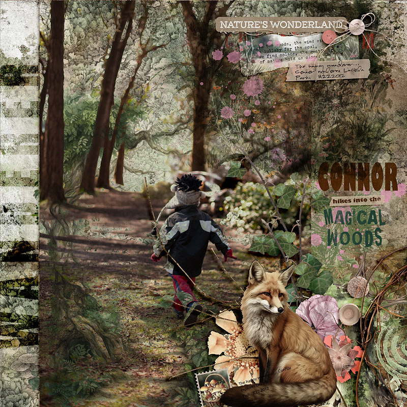 2012-The-Happy-Wanderer