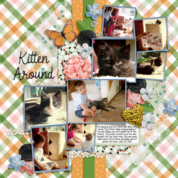 20120622 Kitten Around