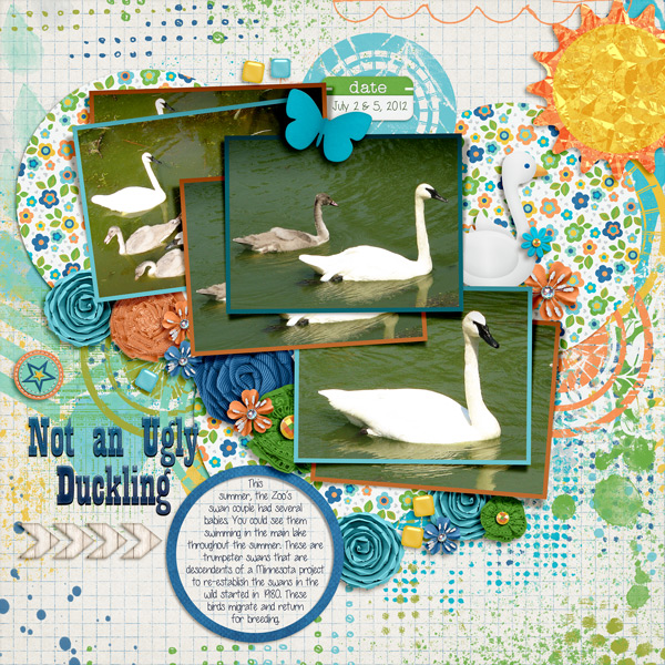 20120702 trumpeter swans
