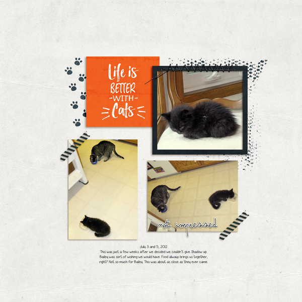 20120705-paislee-PressPlate-No44