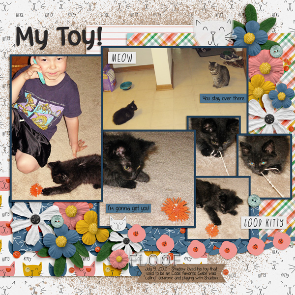 20120709 kitten!