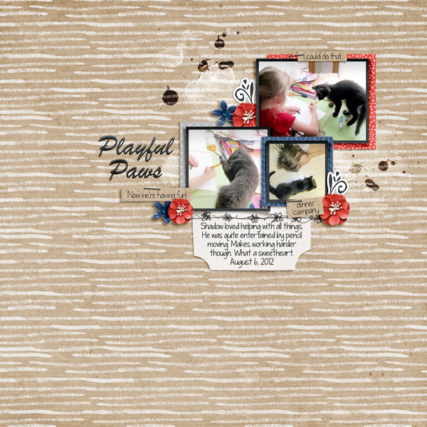 20120806 Playful Paws