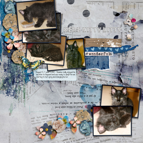 20120809 Here Kitty Kitty