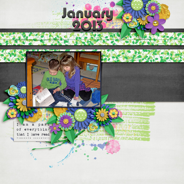 2013 book cover