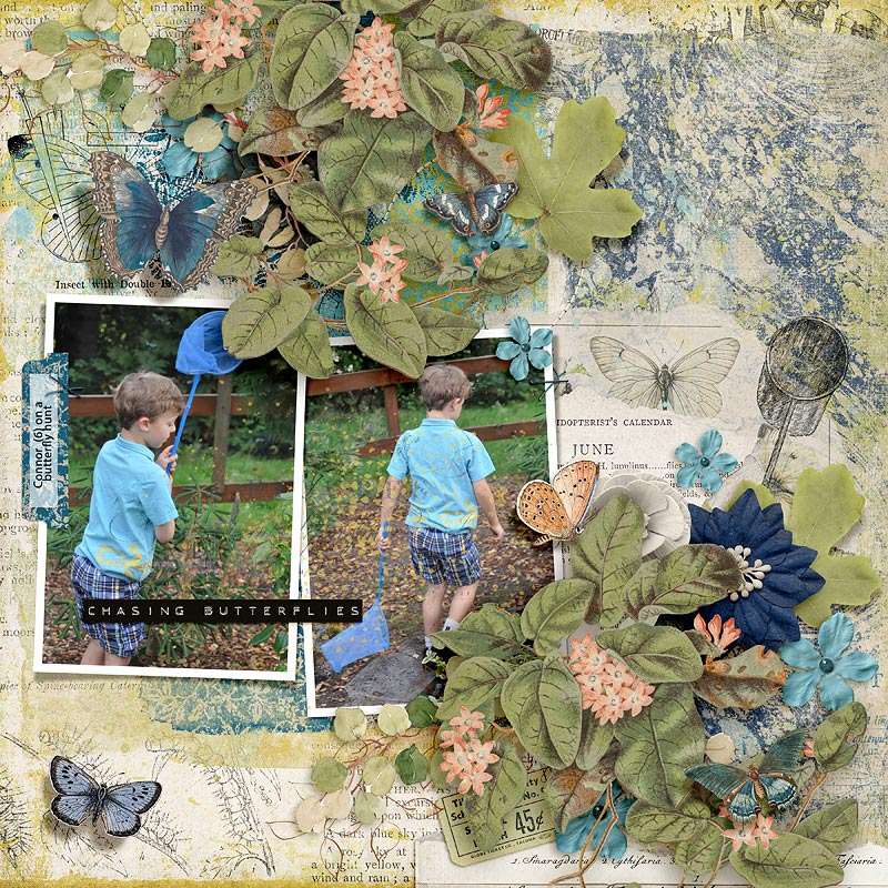 2013-Connor-Hunts-for-Butterflies