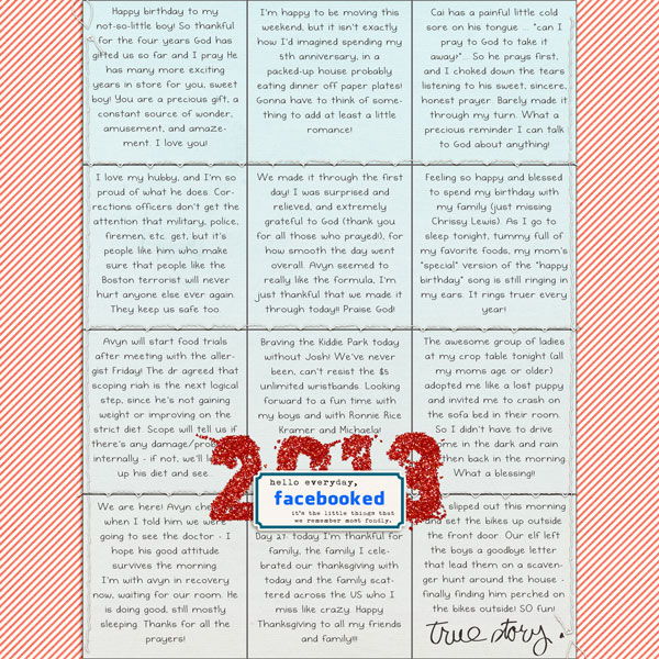 2013 Facebooked