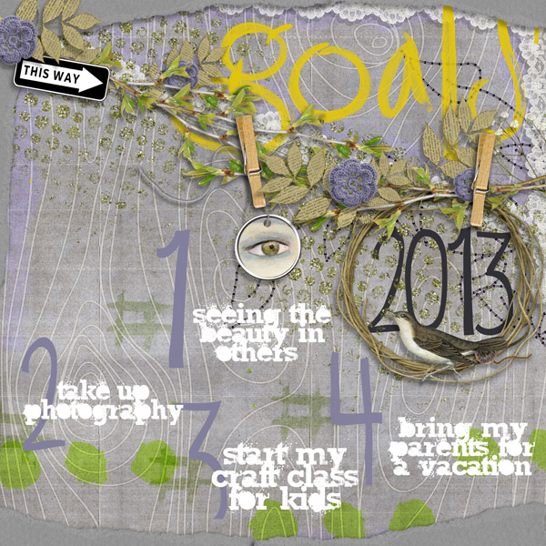 2013 goals