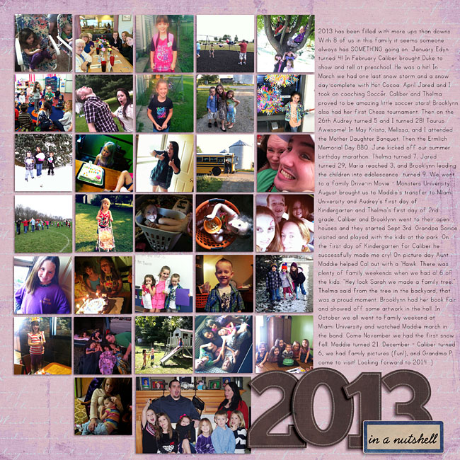 2013 in a Nutshell
