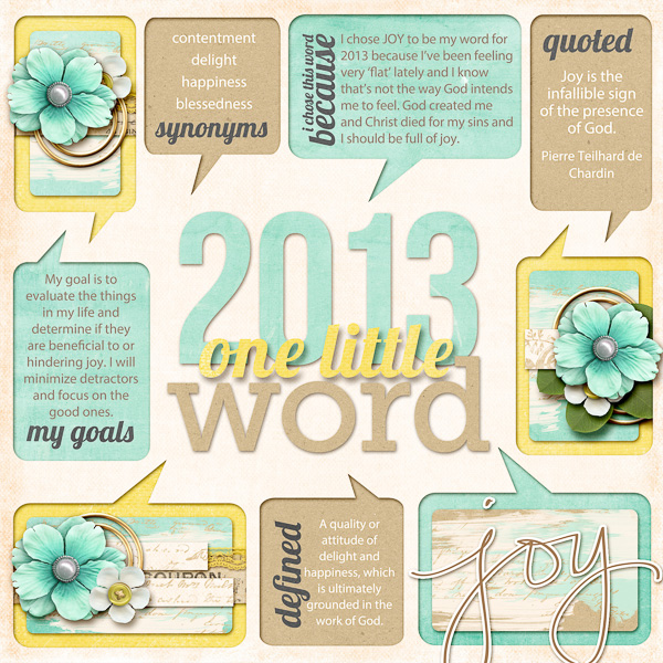 2013 OLW