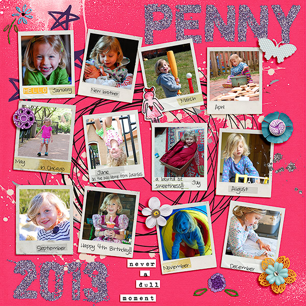 2013 Penny