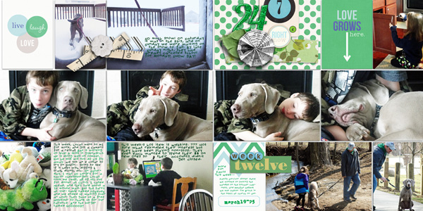 2013 week 12