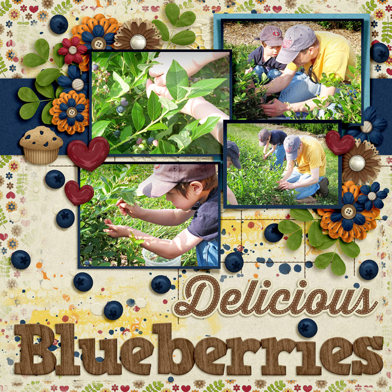 20130720 Delicious Blueberries