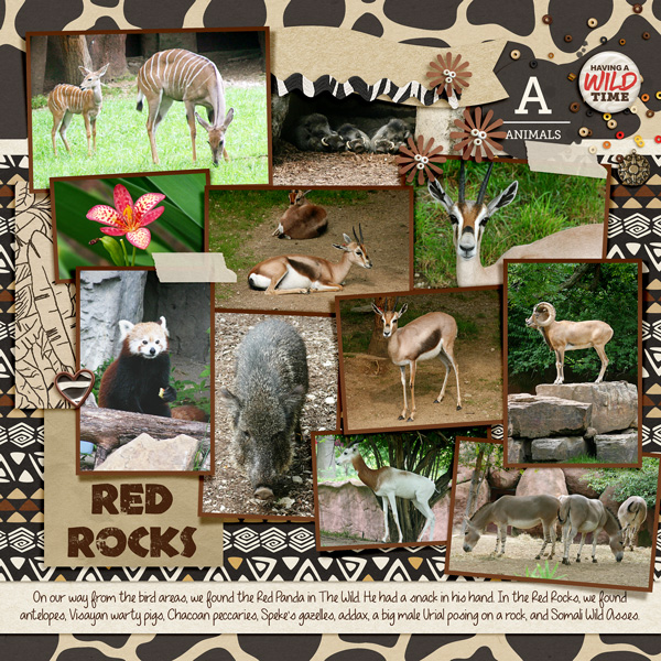 20130813 so many animals