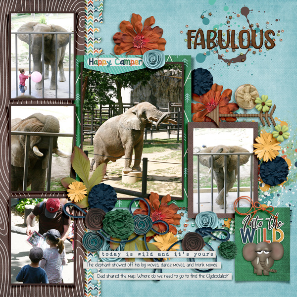 20130814 Elephant!
