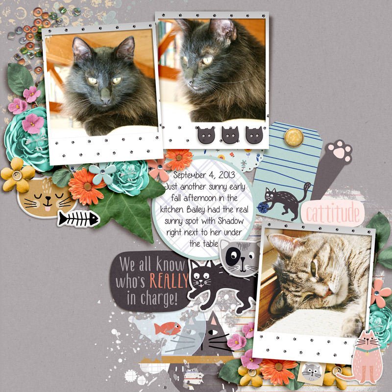 20130904 Shadow and Bailey