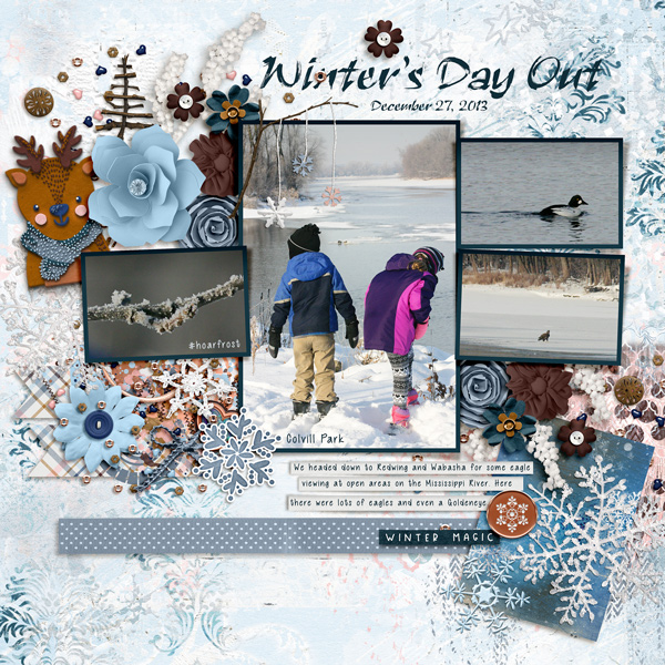 20131227 Winters Day Out