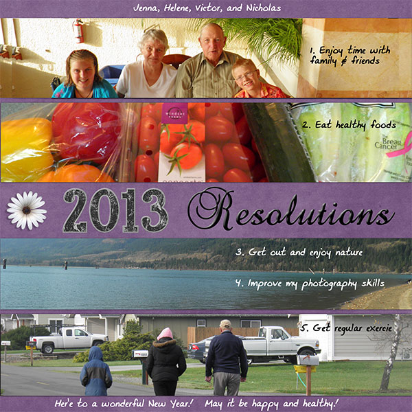 2013_Resolutions2