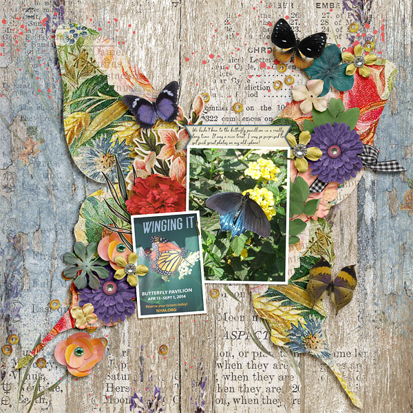 2014-04_fdd-ButterfliesAndBlossomsDU_etcdan-SitASpell_web