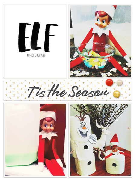 2014 - Day 5