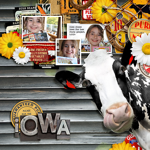 2014 Iowa Project