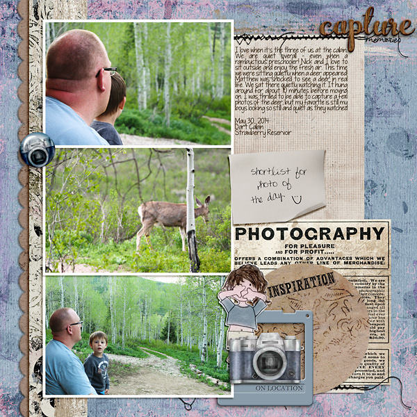 2014 May Cabin Deer