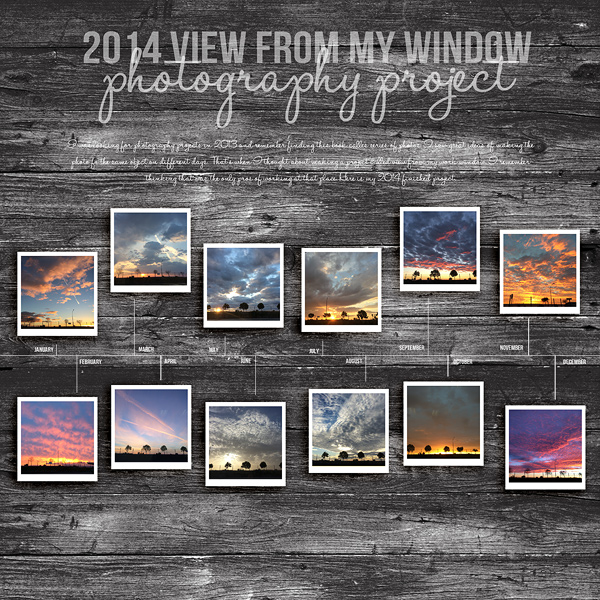 2014 photography project