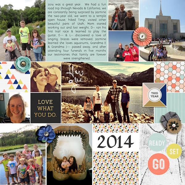 2014 Project Life Cover